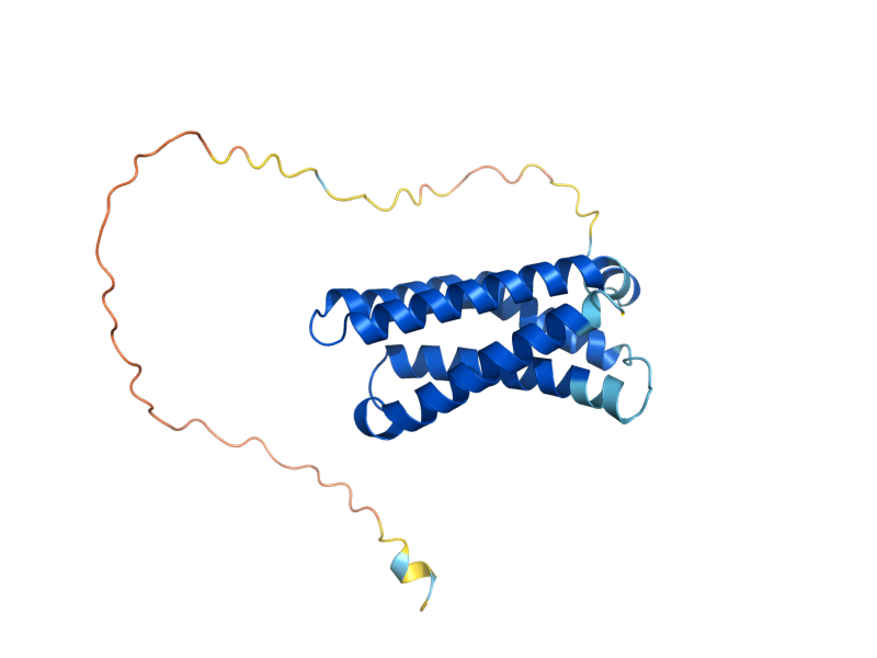 AlphaFold predicted structure of RMP1