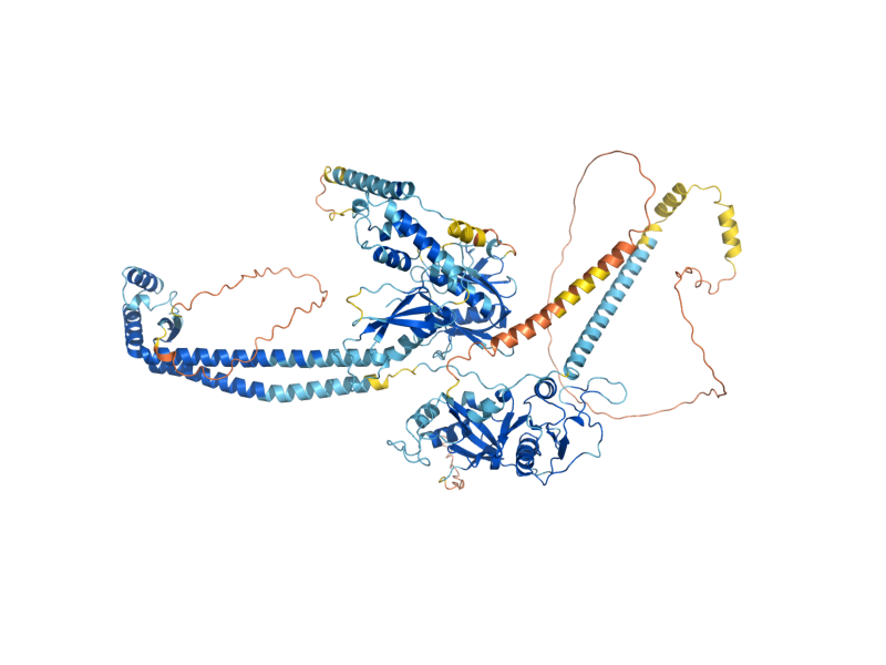 AlphaFold predicted structure of RQC2