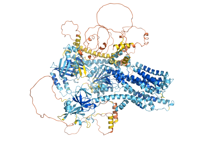 AlphaFold predicted structure of DNF3