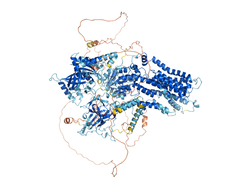 AlphaFold predicted structure of DNF2