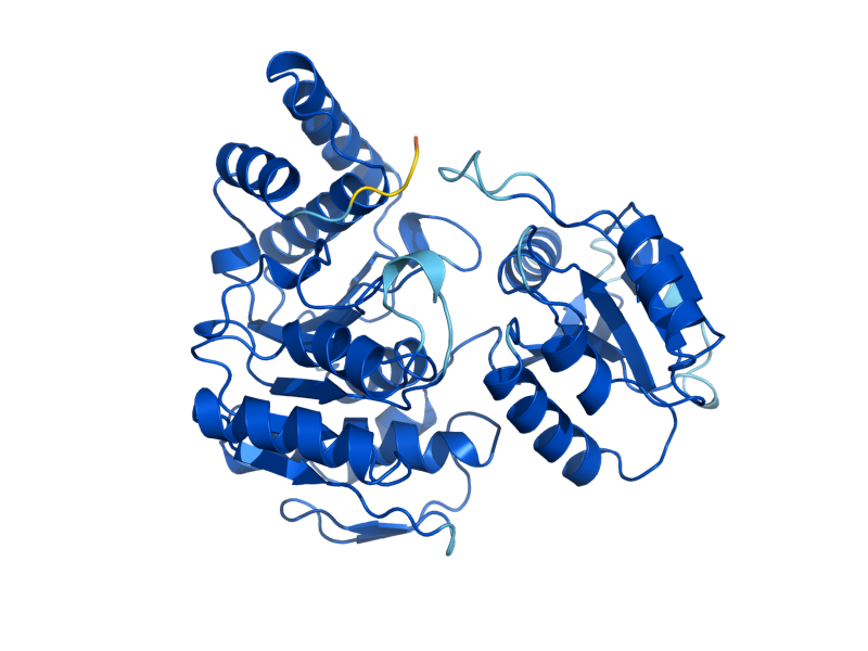 AlphaFold predicted structure of FOL3