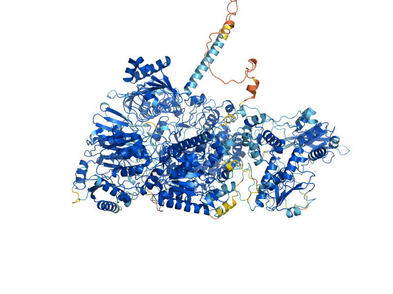 AlphaFold predicted structure of GLT1
