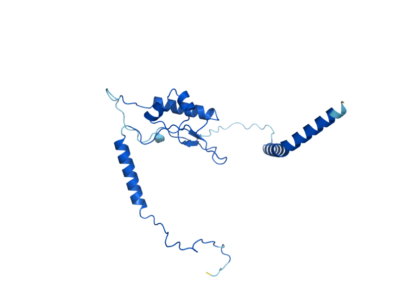 AlphaFold predicted structure of RPL13A