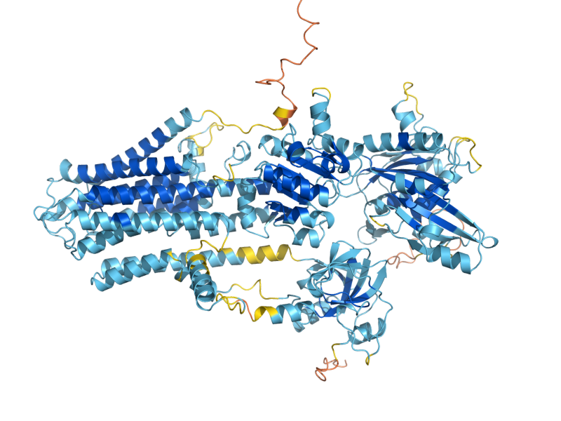 AlphaFold predicted structure of ENA5