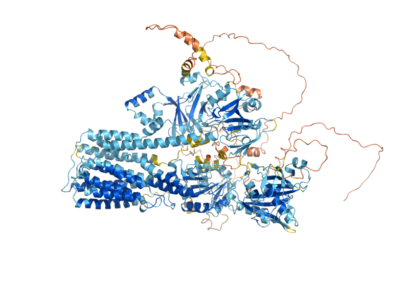 AlphaFold predicted structure of YPK9