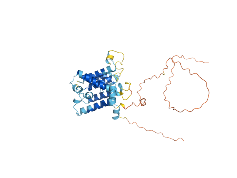 AlphaFold predicted structure of DFM1