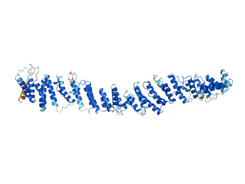 AlphaFold predicted structure of SEC39