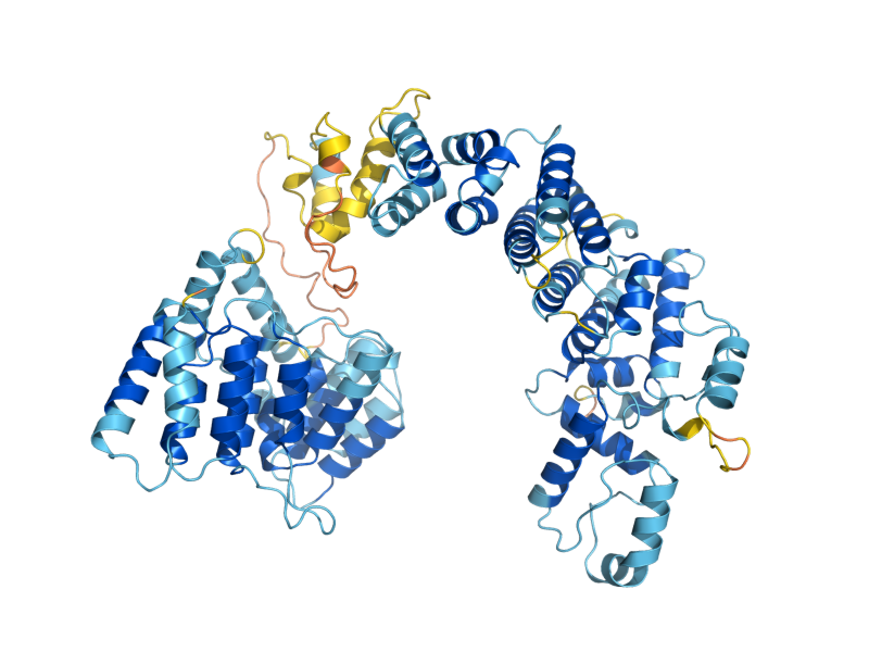 AlphaFold predicted structure of CTF3