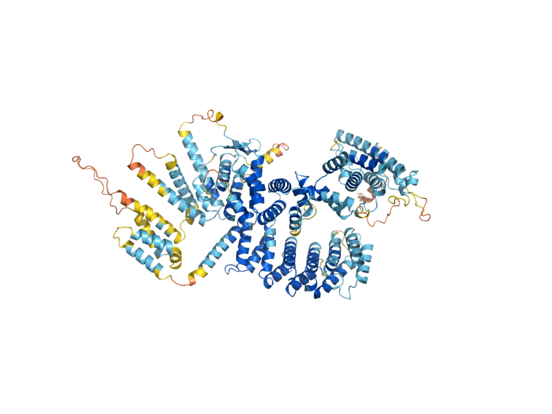 AlphaFold predicted structure of RTP1