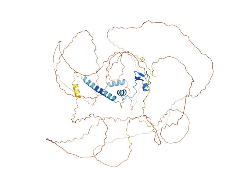 AlphaFold predicted structure of HAA1