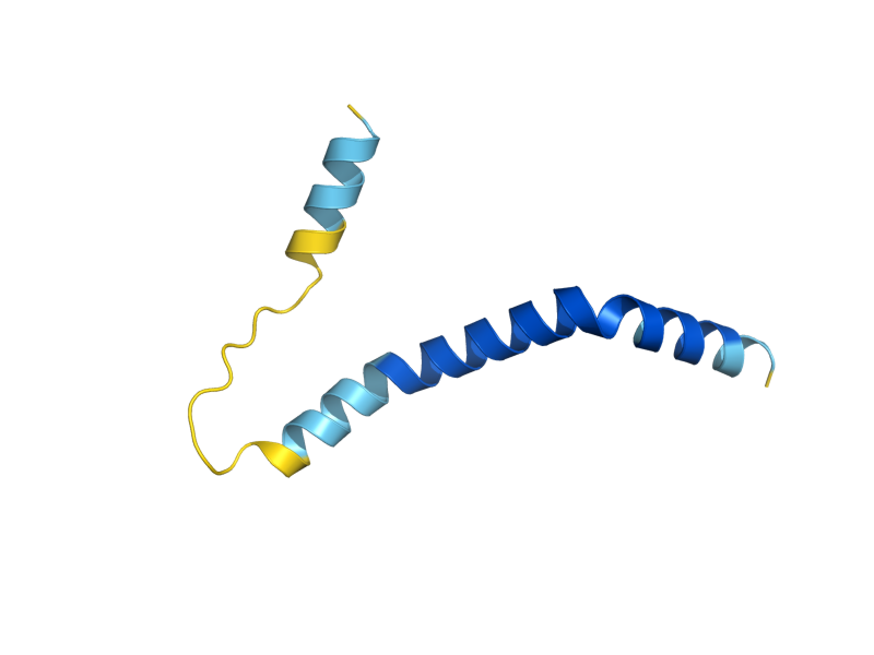 AlphaFold predicted structure of COX26