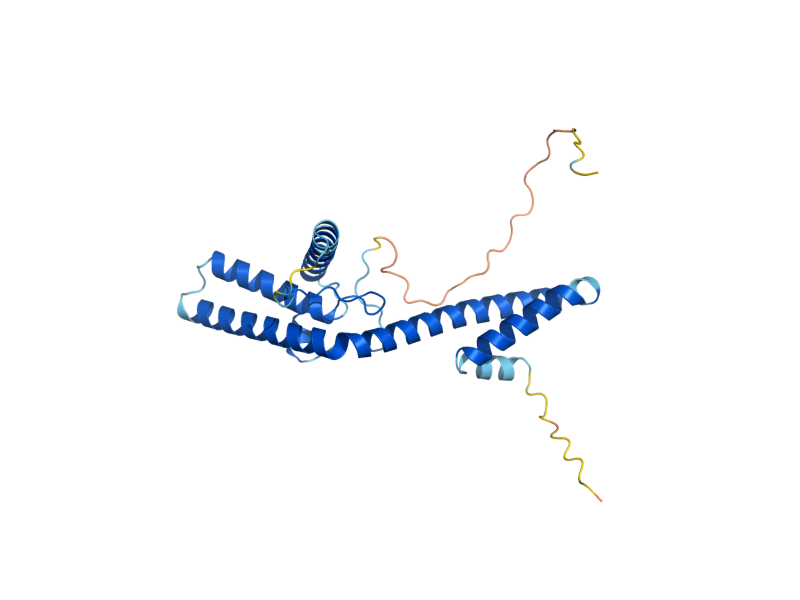 AlphaFold predicted structure of EFG1