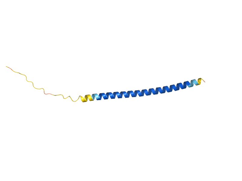 AlphaFold predicted structure of SLO1
