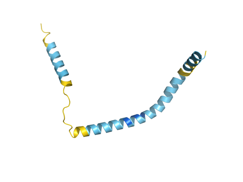 AlphaFold predicted structure of MIM2