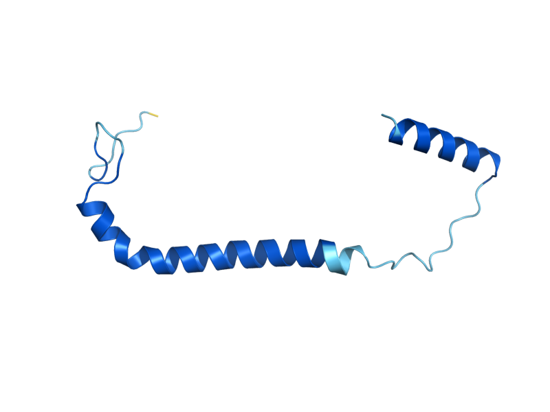AlphaFold predicted structure of COA3