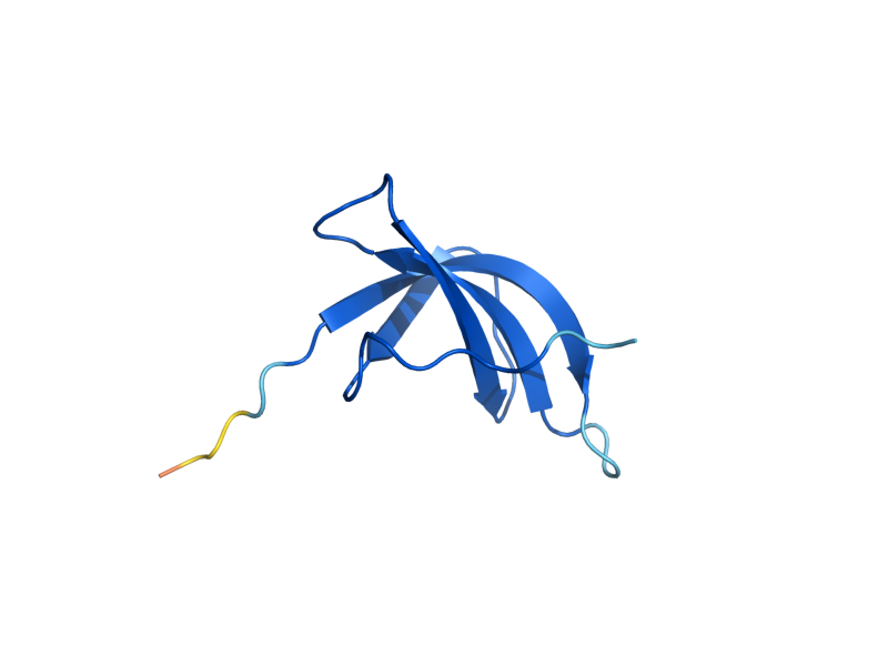 AlphaFold predicted structure of RPS28A