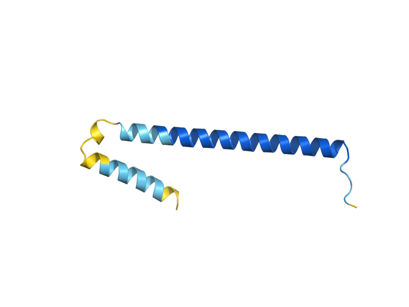 AlphaFold predicted structure of NBL1