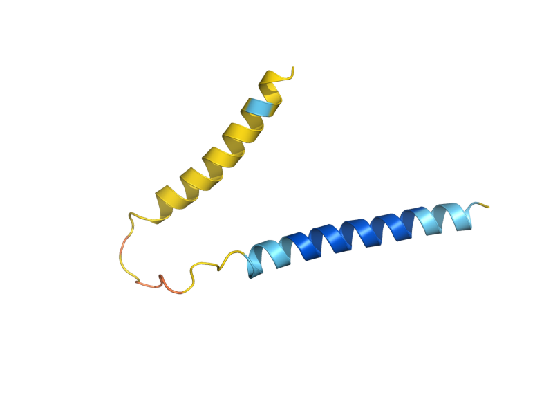 AlphaFold predicted structure of COA2