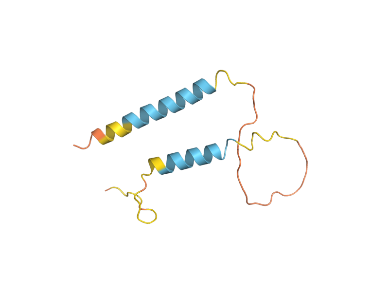 AlphaFold predicted structure of MCO10