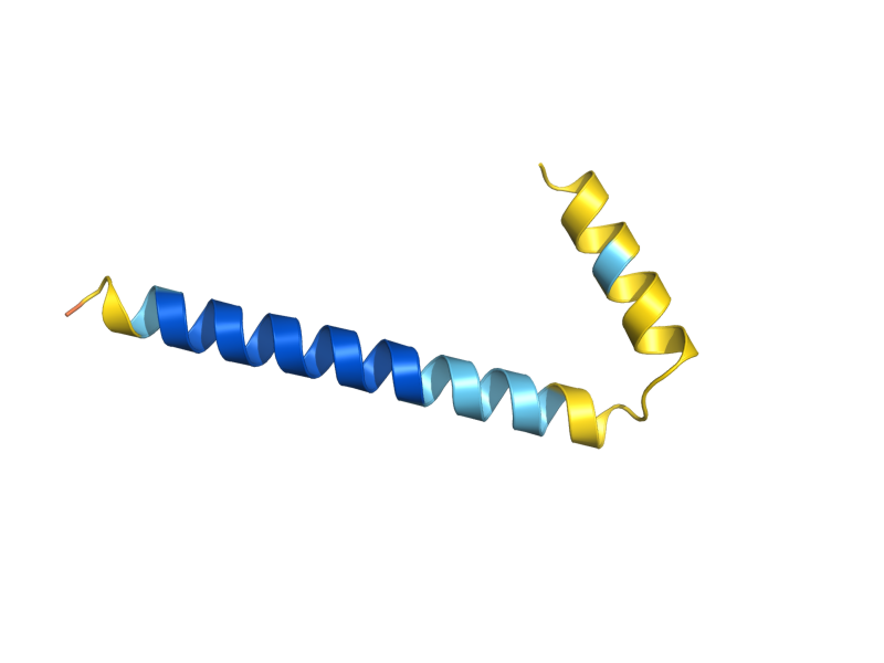 AlphaFold predicted structure of MCO6
