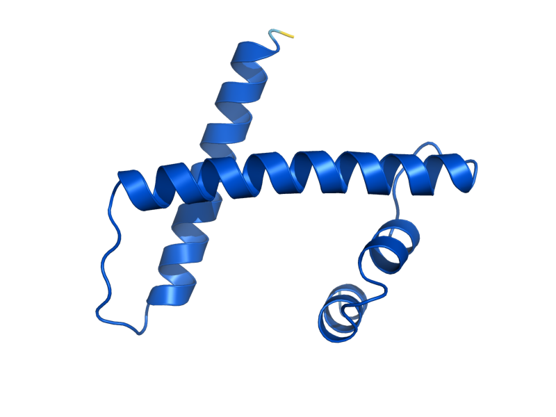 AlphaFold predicted structure of MHF1