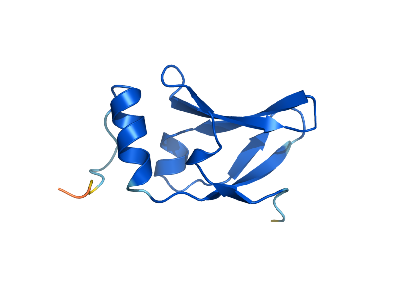 AlphaFold predicted structure of KTI11