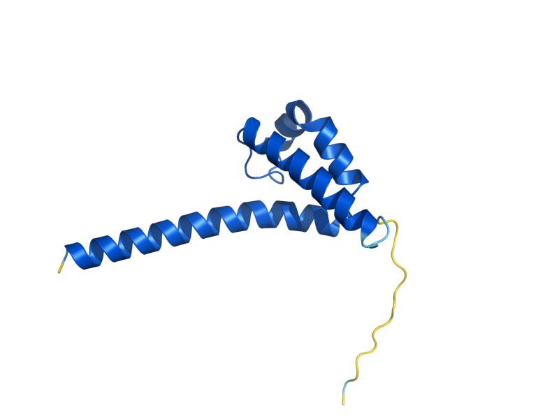 AlphaFold predicted structure of COA6