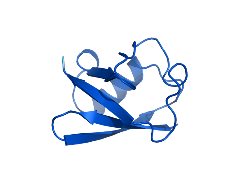 AlphaFold predicted structure of HUB1