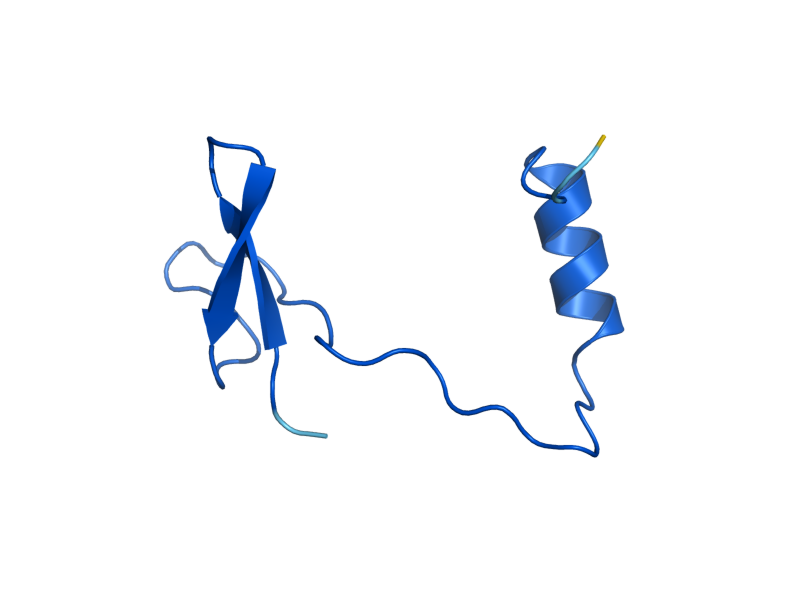 AlphaFold predicted structure of NOP10