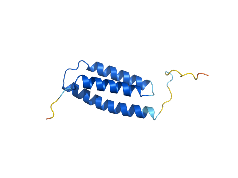 AlphaFold predicted structure of ISD11