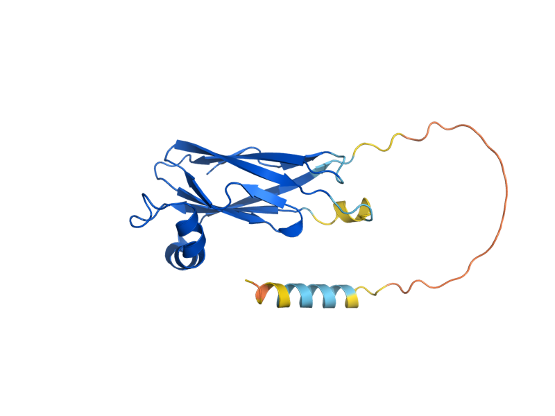AlphaFold predicted structure of SCS22