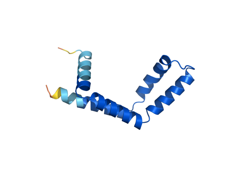AlphaFold predicted structure of SUS1