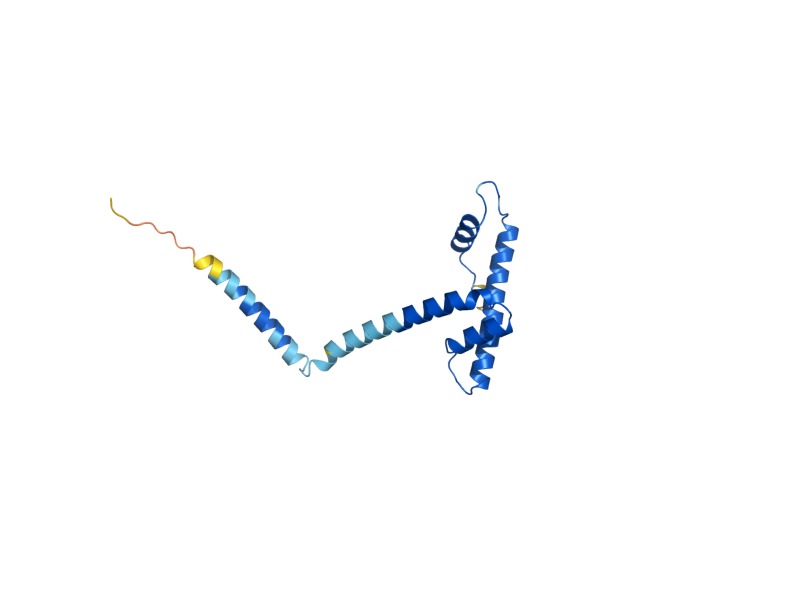 AlphaFold predicted structure of NCB2