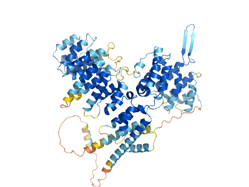AlphaFold predicted structure of LAG2