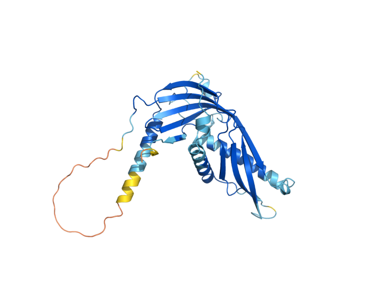 AlphaFold predicted structure of MDM12