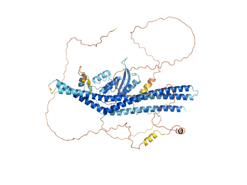 AlphaFold predicted structure of VPS5