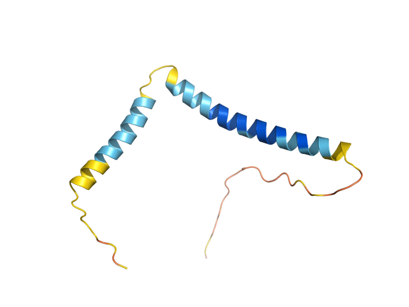AlphaFold predicted structure of MIC10
