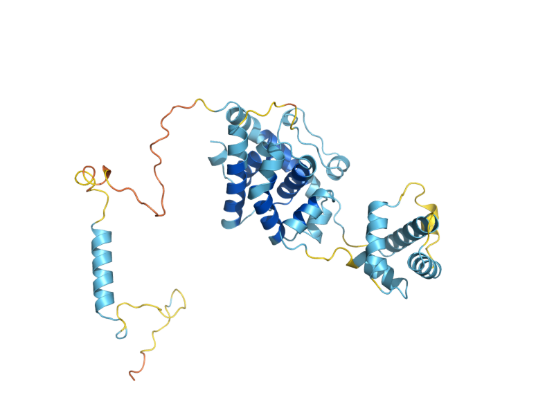 AlphaFold predicted structure of BRR1