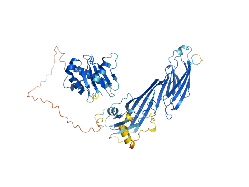 AlphaFold predicted structure of APM4