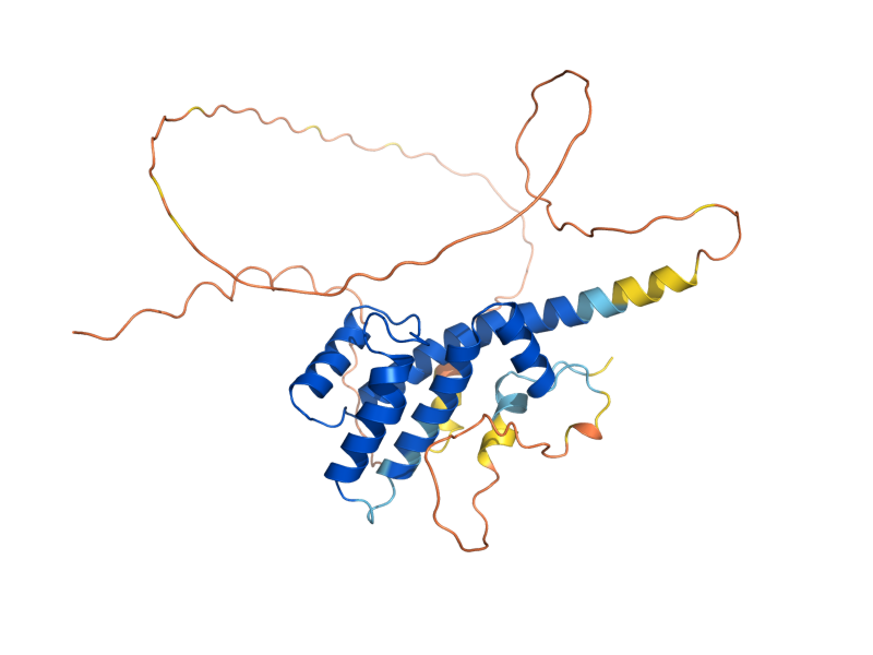 AlphaFold predicted structure of RGS2