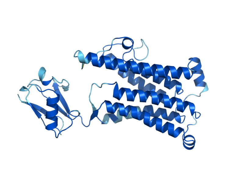 AlphaFold predicted structure of TSC13