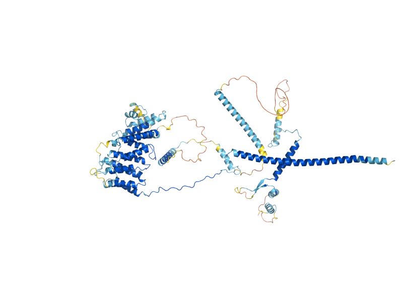 AlphaFold predicted structure of NOP14