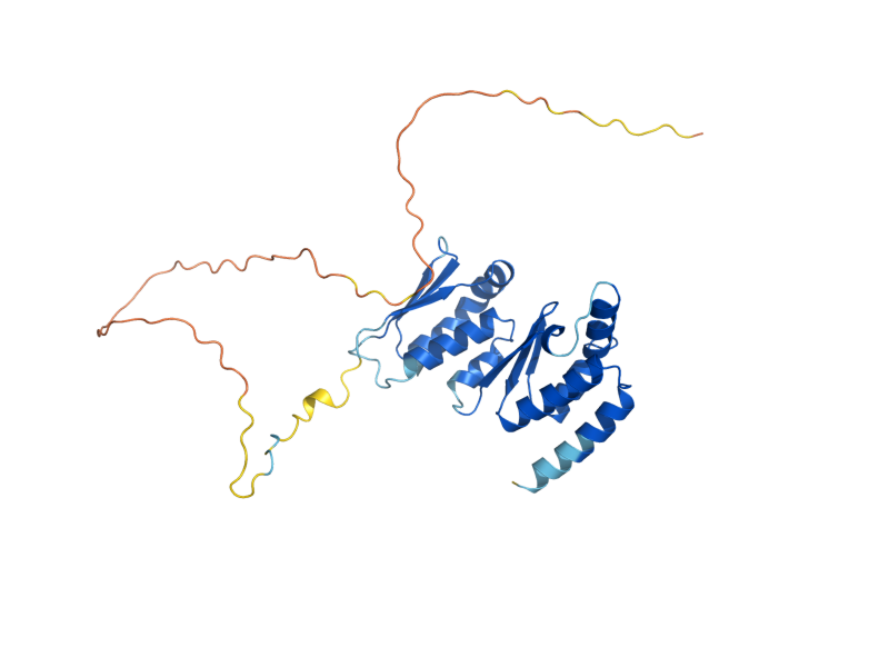 AlphaFold predicted structure of PNO1