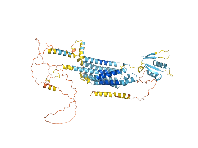 AlphaFold predicted structure of DFG16
