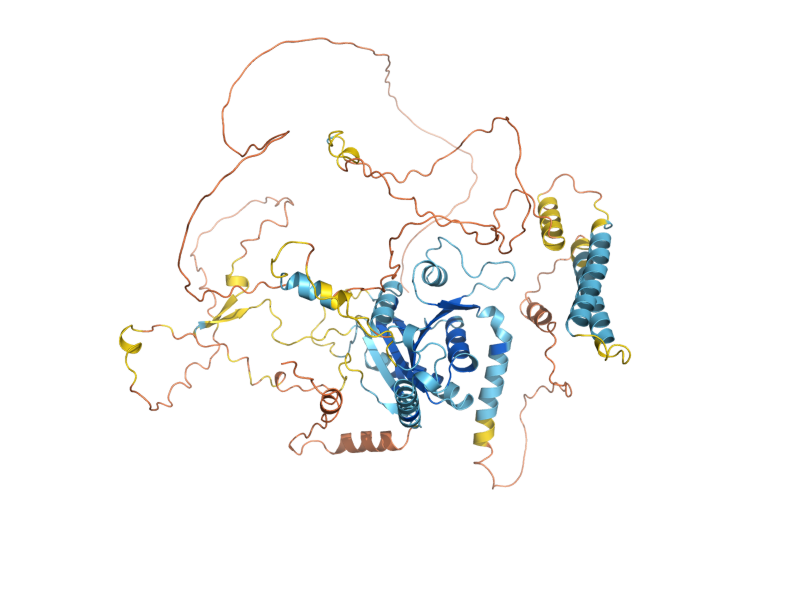 AlphaFold predicted structure of YOR019W