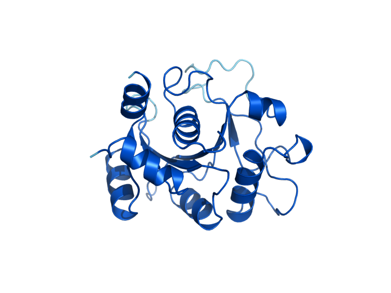 AlphaFold predicted structure of RIB3