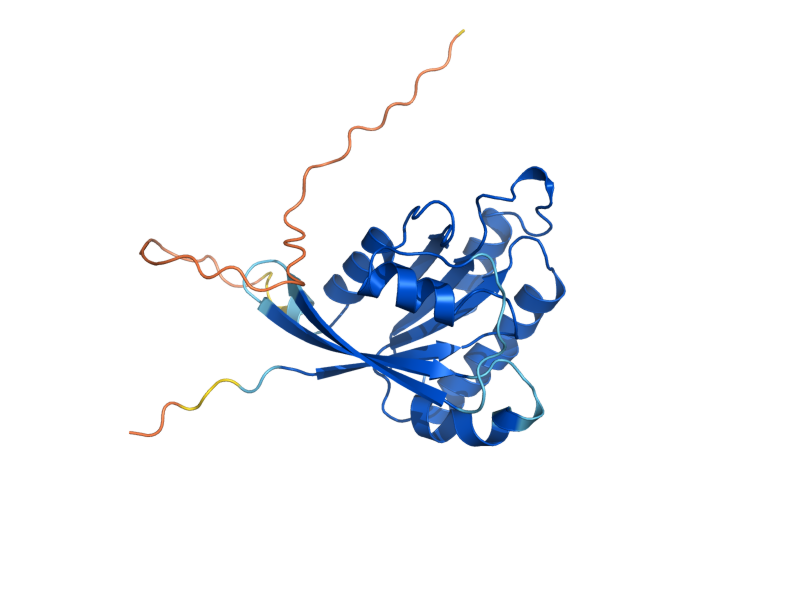 AlphaFold predicted structure of YPT6