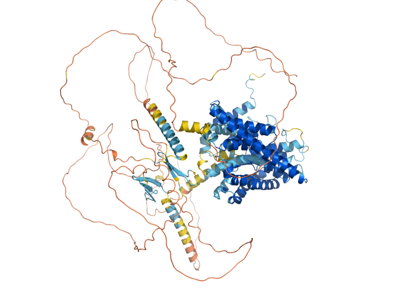 AlphaFold predicted structure of NHA1