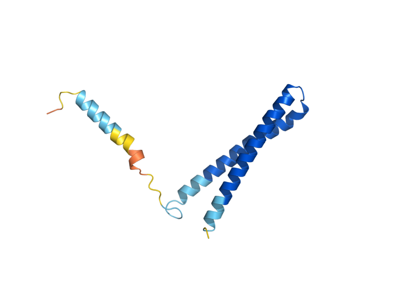 AlphaFold predicted structure of MED11