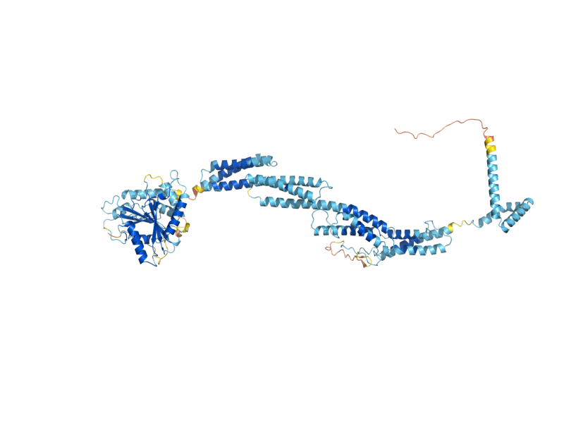 AlphaFold predicted structure of SEY1